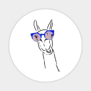 cute hipster llama in trendy colorful glasses Magnet